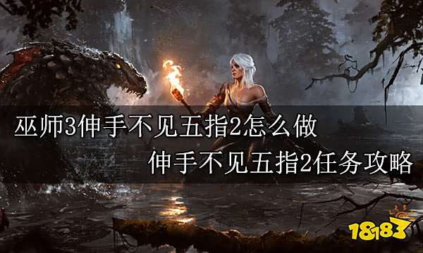 巫师3伸手不见五指2怎么做 伸手不见五指2任务攻略