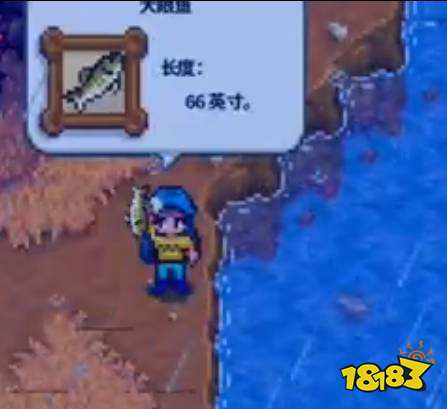 星露谷物语大眼鱼哪里钓 星露谷大眼鱼位置分享