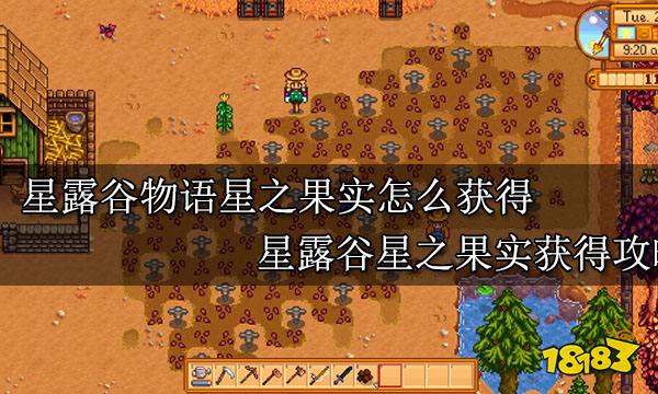 星露谷物语星之果实怎么获得 星露谷星之果实获得攻略