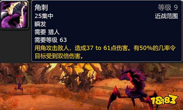 魔兽世界tbc猎人用什么宝宝好 猎人宝宝主流推荐