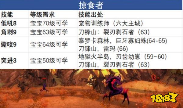 魔兽世界tbc猎人用什么宝宝好 猎人宝宝主流推荐