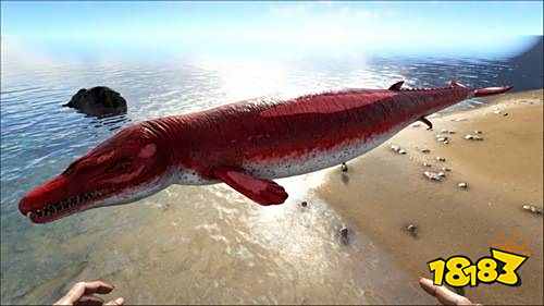 方舟生存进化如何驯服龙王鲸 驯服龙王鲸方法介绍