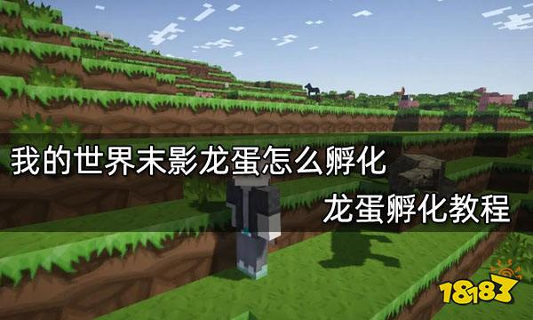 我的世界末影龙蛋怎么孵化 龙蛋孵化教程