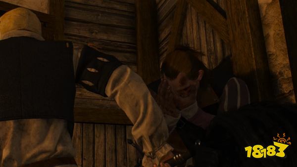 巫师3与二世会面任务 希里的故事：与二世会面任务攻略