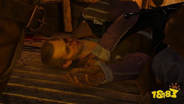 巫师3与二世会面任务 希里的故事：与二世会面任务攻略