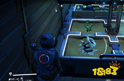 无人深空怎么种植农业 无人深空种植农业攻略