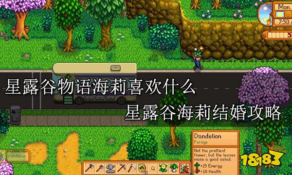 星露谷物语海莉喜欢什么 星露谷海莉结婚攻略