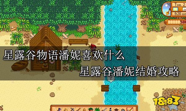 星露谷物语潘妮喜欢什么 星露谷潘妮结婚攻略