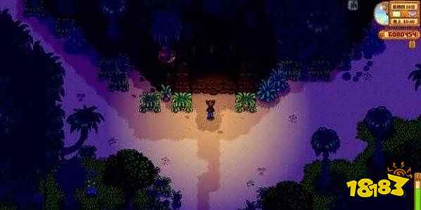 星露谷物语宝石鸟是什么 星露谷宝石鸟的摆放顺序分享