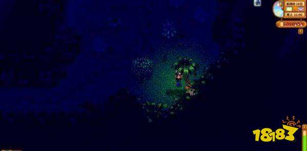 星露谷物语宝石鸟是什么 星露谷宝石鸟的摆放顺序分享