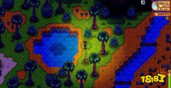 星露谷物语宝石鸟是什么 星露谷宝石鸟的摆放顺序分享