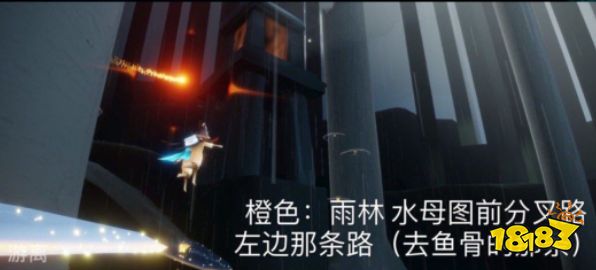 光遇今日5.19每日任务是什么  5月19日每日任务攻略