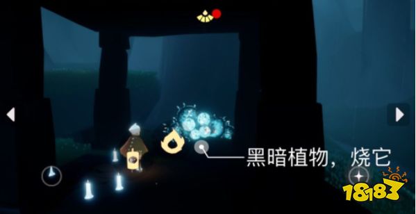 光遇今日5.19每日任务是什么  5月19日每日任务攻略