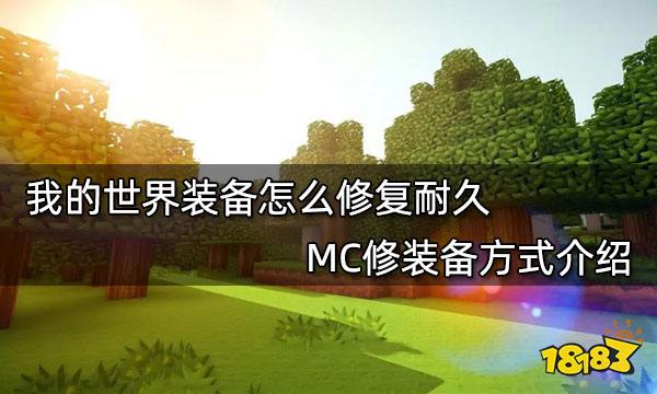  我的世界装备耐久度表,mc装备冷知识？