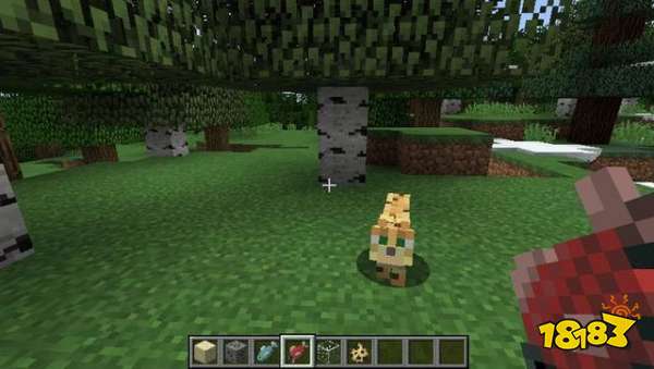 我的世界怎么驯服宠物 MC可驯服宠物大全