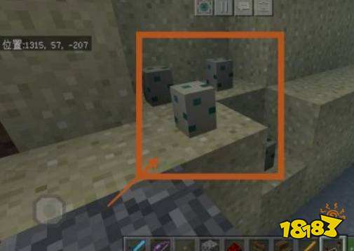 我的世界海龟蛋怎么孵化 海龟蛋孵化教程