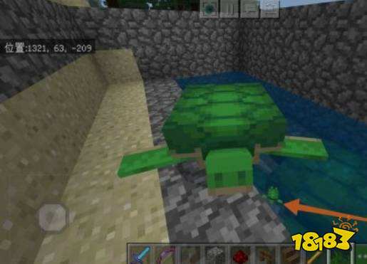 我的世界海龟蛋怎么孵化 海龟蛋孵化教程