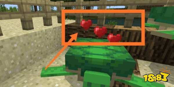 我的世界海龟怎么驯服 海龟驯服方法分享