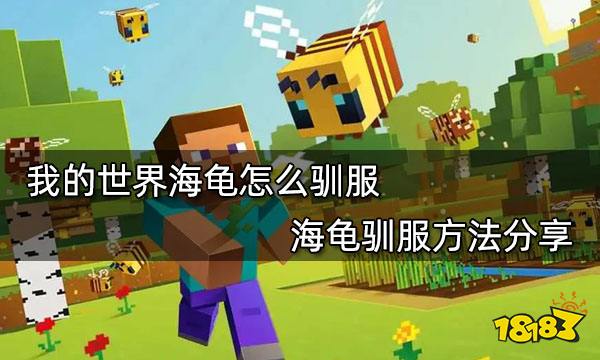 我的世界海龟怎么驯服 海龟驯服方法分享