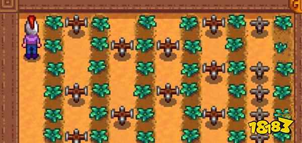 星露谷物语温室种什么好 温室种什么收益高