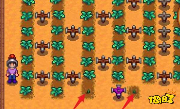 星露谷物语温室种什么好 温室种什么收益高