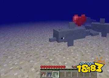 我的世界海豚怎么驯服 海豚驯服方法介绍