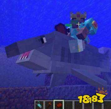 我的世界海豚怎么驯服 海豚驯服方法介绍