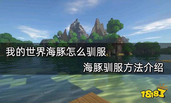 我的世界海豚怎么驯服 海豚驯服方法介绍