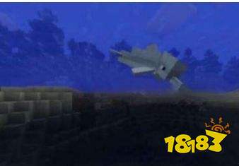 我的世界海豚怎么带路 海豚带路方法介绍