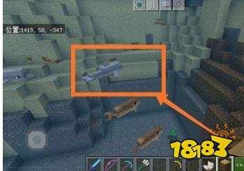 我的世界海豚怎么带路 海豚带路方法介绍