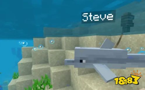 我的世界海豚为什么会自己死 海豚死亡原因介绍