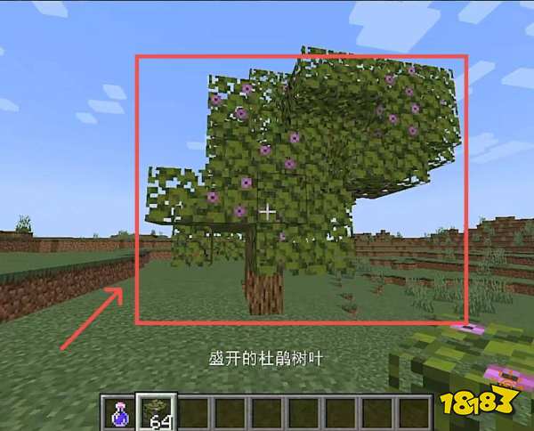 我的世界繁茂山洞怎么找 繁茂山洞位置分享