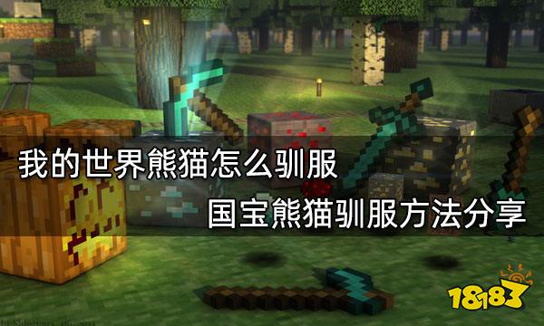 我的世界熊猫怎么驯服 国宝熊猫驯服方法分享