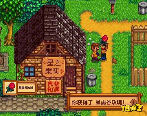 星露谷物语海盗的妻子任务怎么做 海盗的妻子任务攻略