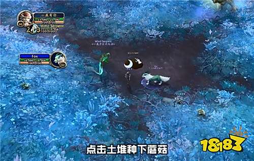 魔兽世界树栖巨口蟾怎么获得 坐骑树栖巨口蟾获取方法