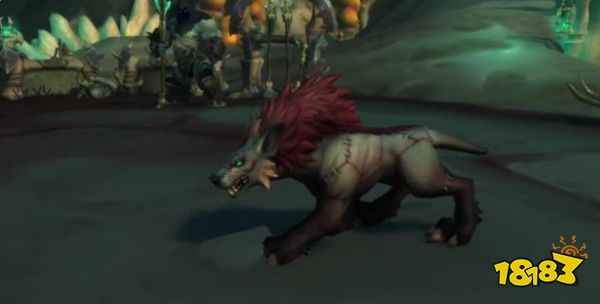 魔兽世界猎人好看宠物收集指南 高颜值宠物位置及获取方法