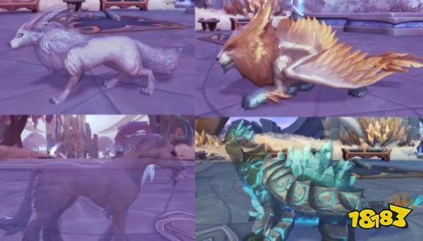 魔兽世界猎人好看宠物收集指南 高颜值宠物位置及获取方法