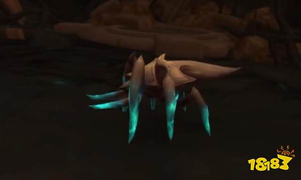 魔兽世界猎人好看宠物收集指南 高颜值宠物位置及获取方法