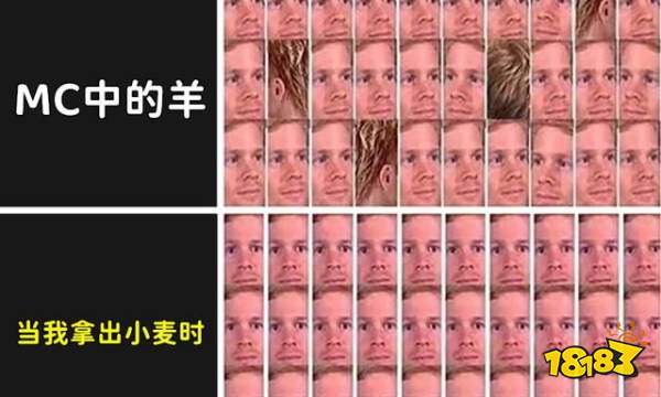 我的世界007是什么 史蒂夫007介绍