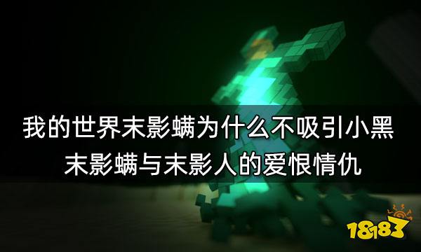 我的世界末影螨为什么不吸引小黑 末影螨与末影人的爱恨情仇