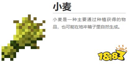 我的世界都有什么植物 2022MC所有植物圖鑒