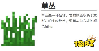 我的世界都有什么植物 2022MC所有植物圖鑒