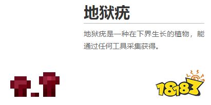 我的世界都有什么植物 2022MC所有植物圖鑒
