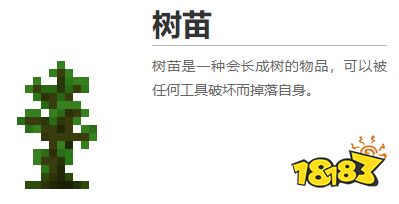 我的世界都有什么植物 2022MC所有植物圖鑒