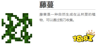 我的世界都有什么植物 2022MC所有植物圖鑒