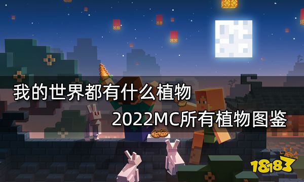 我的世界都有什么植物 2022MC所有植物图鉴