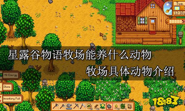 星露谷物语牧场能养什么动物 牧场具体动物介绍