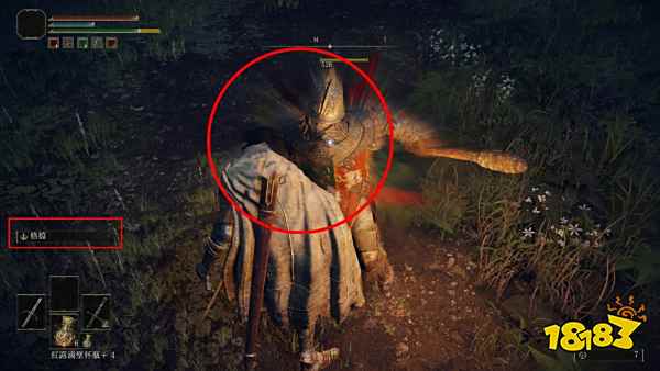 艾尔登法环处决怎么按 处决使用方法分享