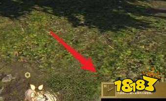 永劫无间寻宝任务位置在哪 金蟾蜍寻宝任务位置介绍