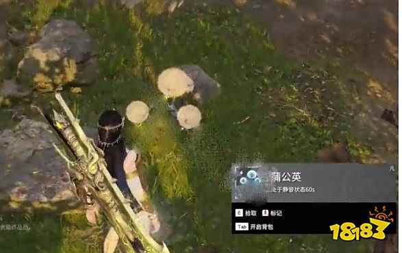 永劫无间蒲公英在哪里 蒲公英作用及刷新位置介绍